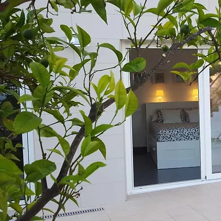 Apartment Spacious In + Pool